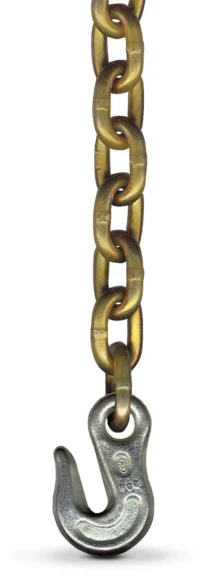 A metal chain with large gold-colored links hangs vertically, ending in a heavy-duty silver metal hook at the bottom.
